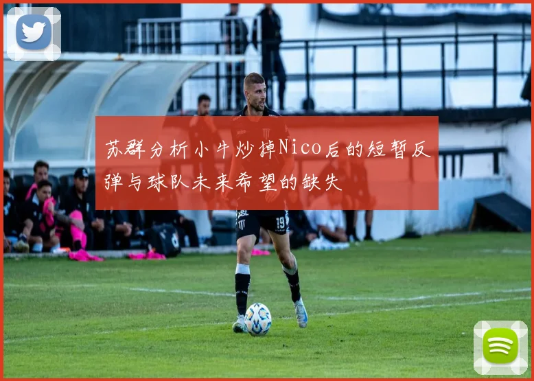 苏群分析小牛炒掉Nico后的短暂反弹与球队未来希望的缺失